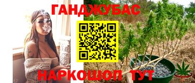гашик Гагарин
